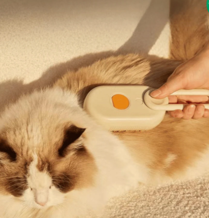 CEPILLO A VAPOR PARA MASCOTA